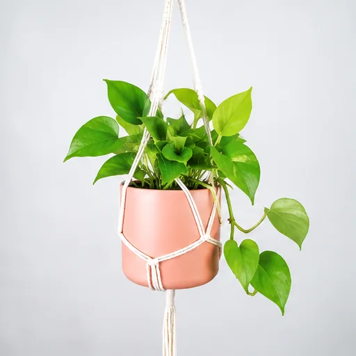 AI-generated imagined pothos growth for May